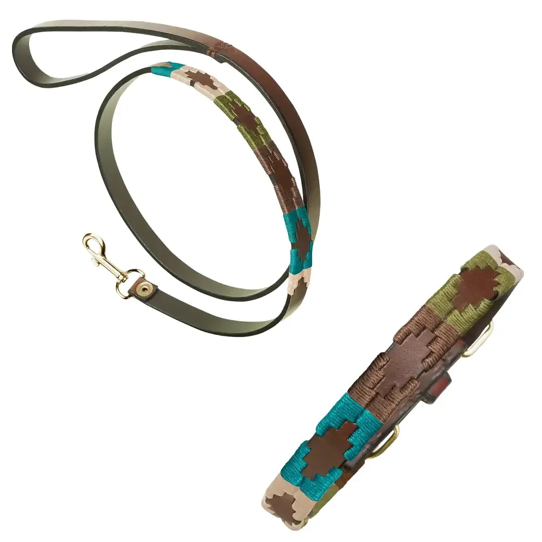 Leather Dog Collar & Lead - Terraqueo by Pampeano