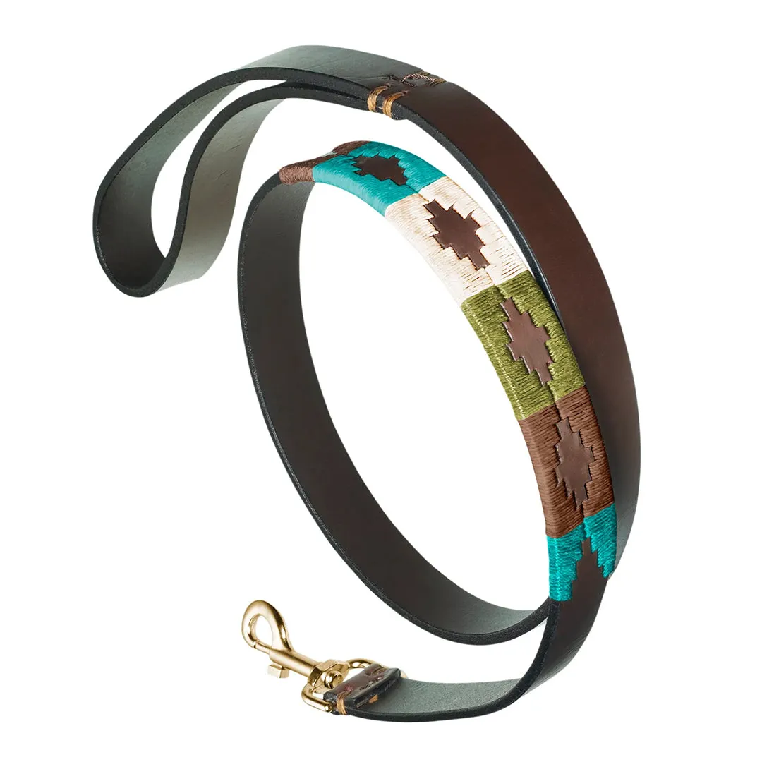 Leather Dog Collar & Lead - Terraqueo by Pampeano