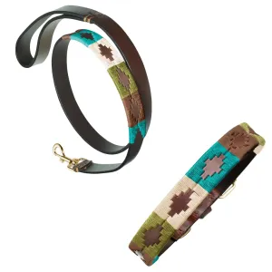 Leather Dog Collar & Lead - Terraqueo by Pampeano