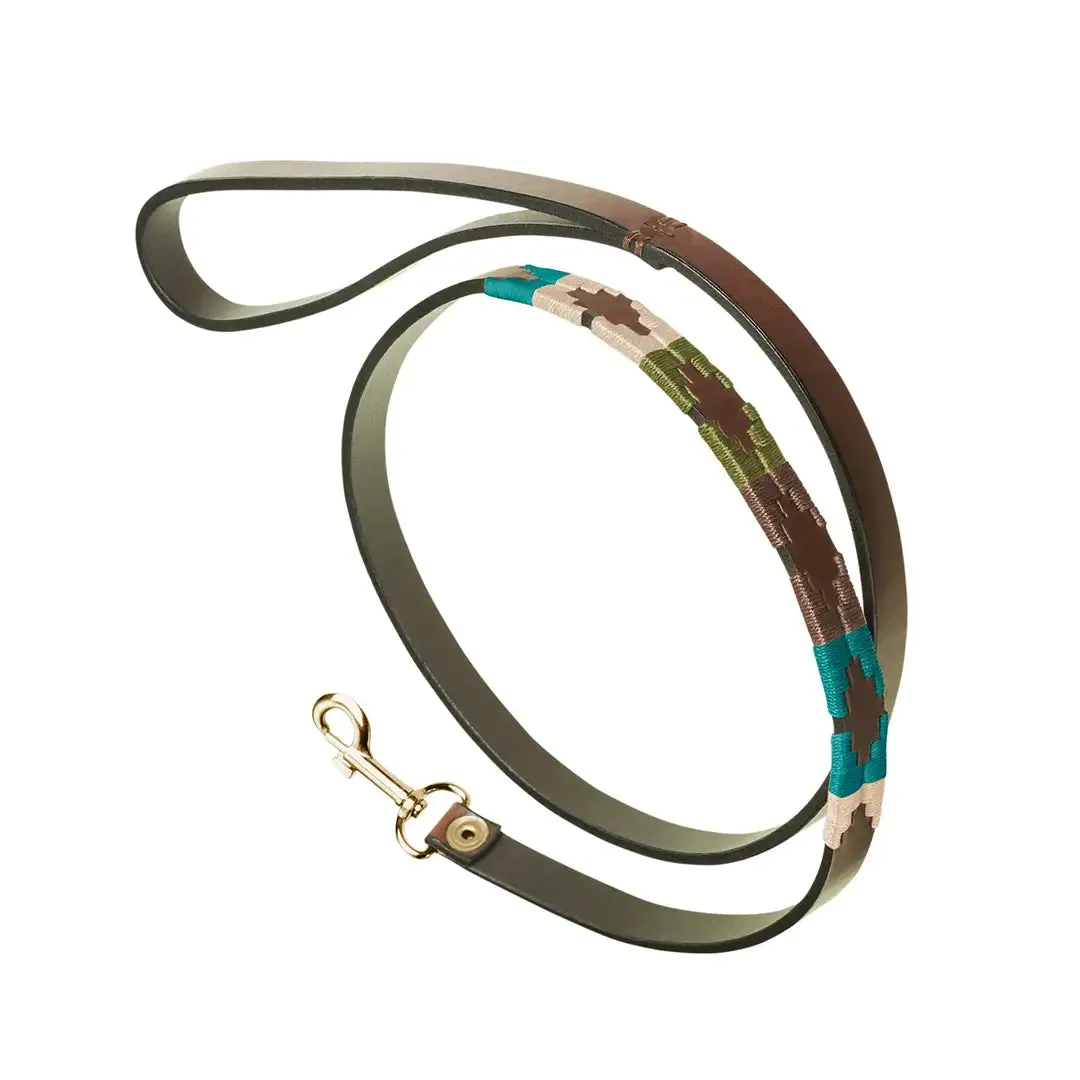 Leather Dog Lead Terraqueo by Pampeano