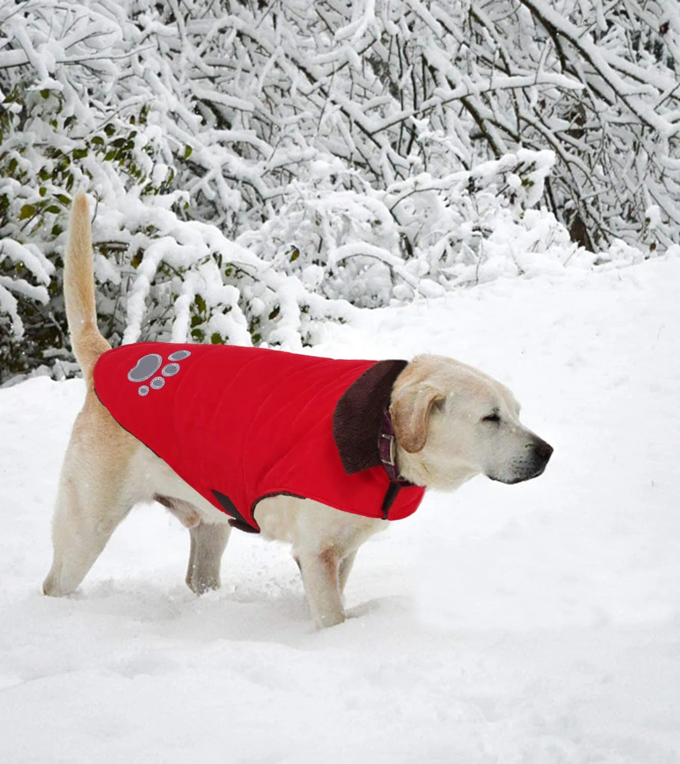 Reversible Windproof Cold Weather Jacket Vest for Small-Large Dogs