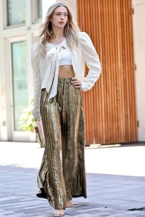 Silver Wide Leg Pants