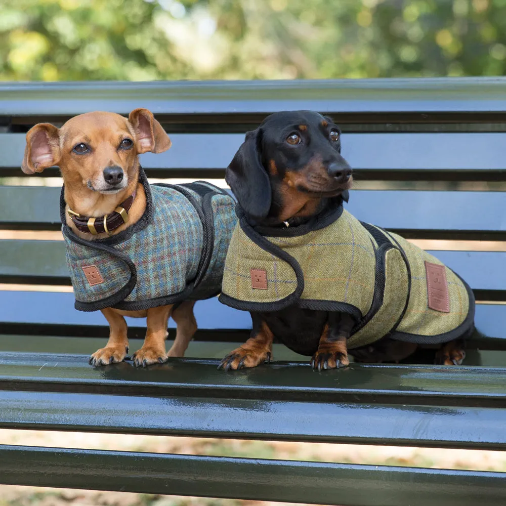 Tweed Dachshund Coat