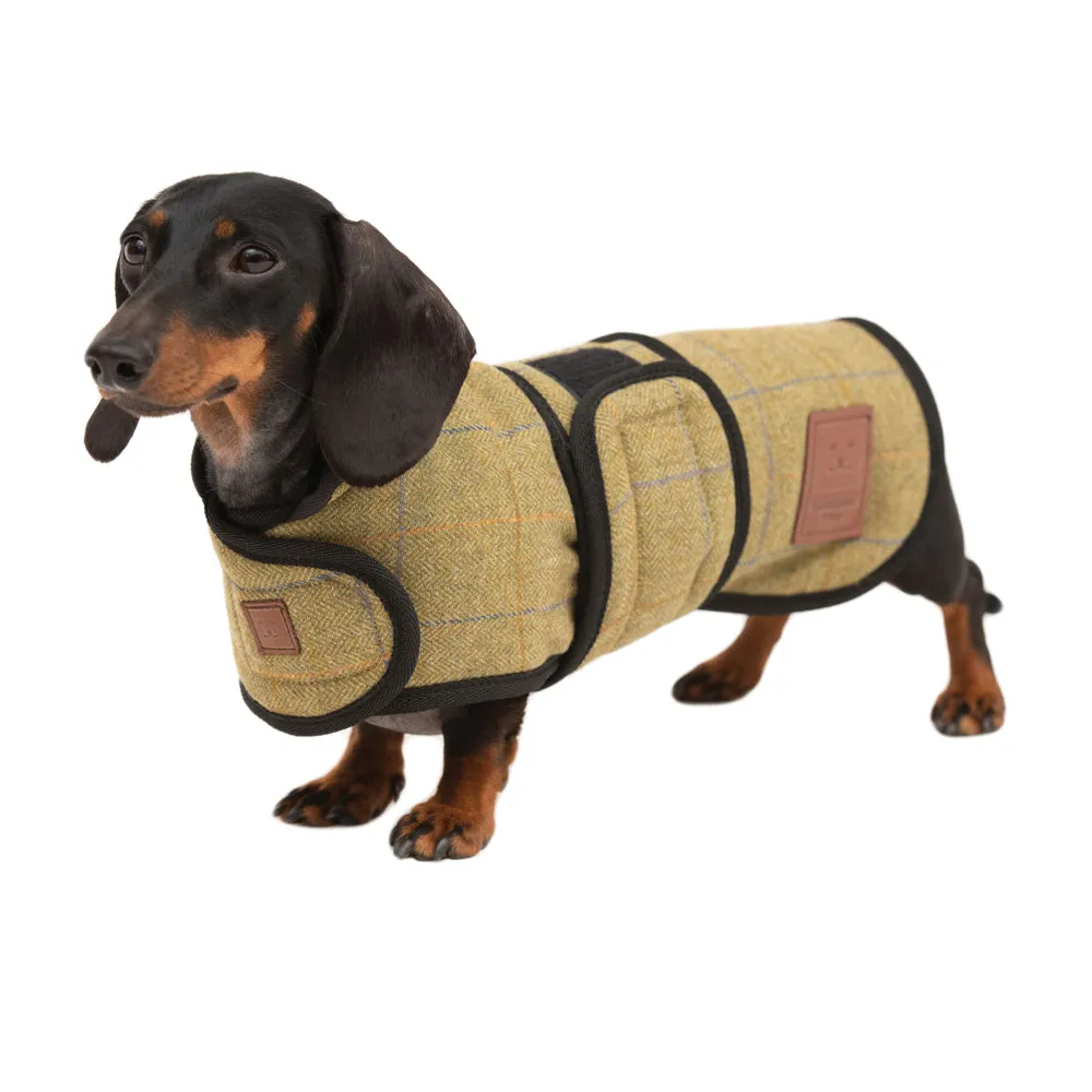 Tweed Dachshund Coat