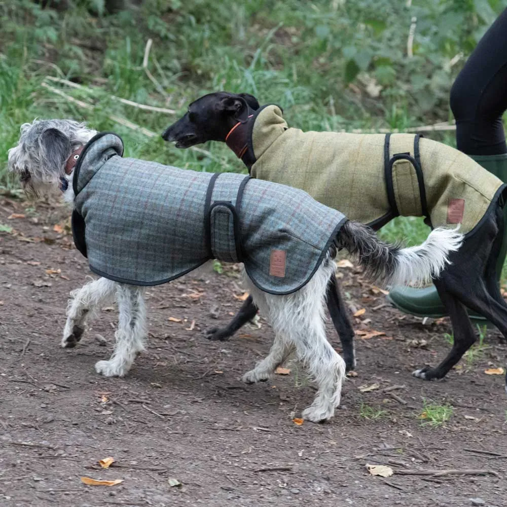 Tweed Greyhound Coat