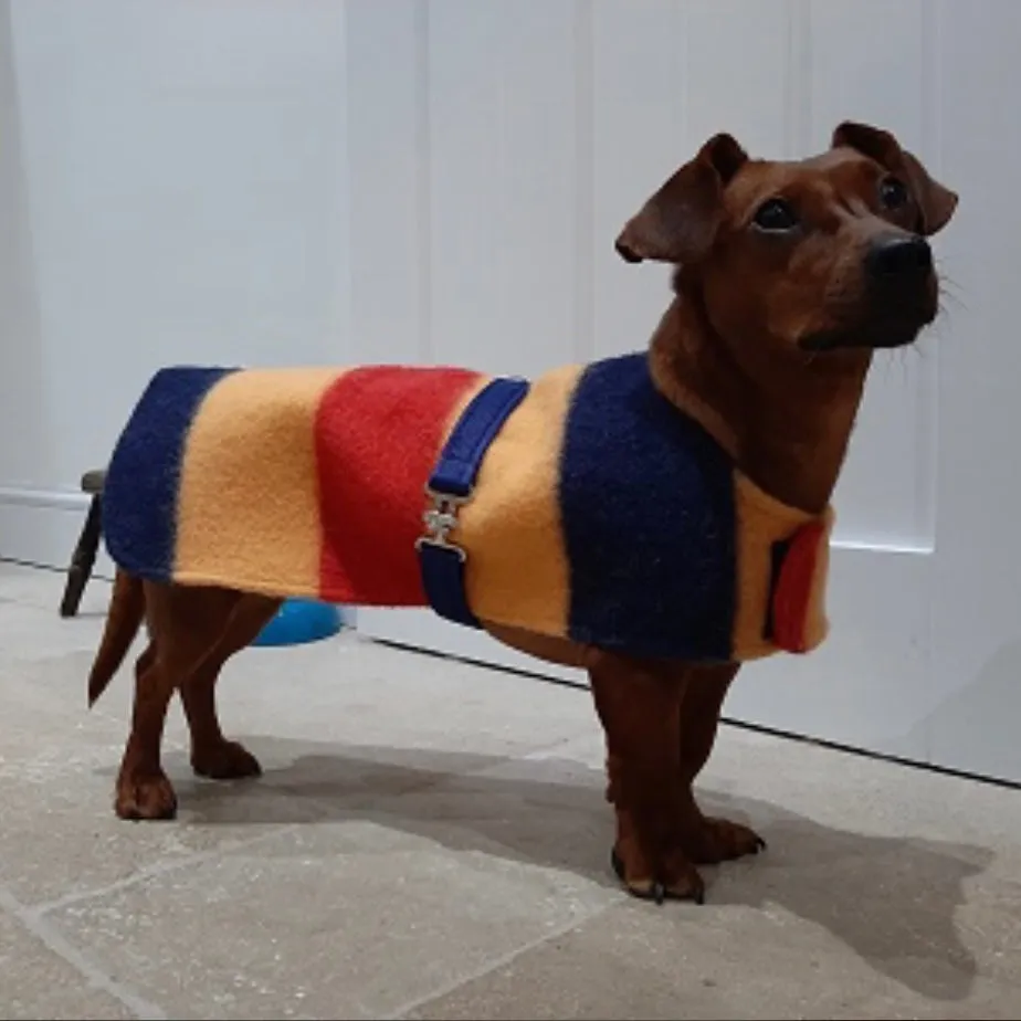 Witney Dachshund Rug Coat