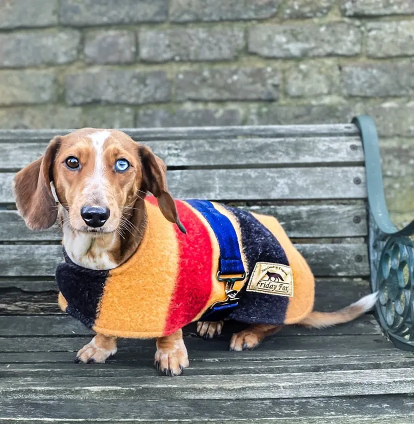 Witney Dachshund Rug Coat