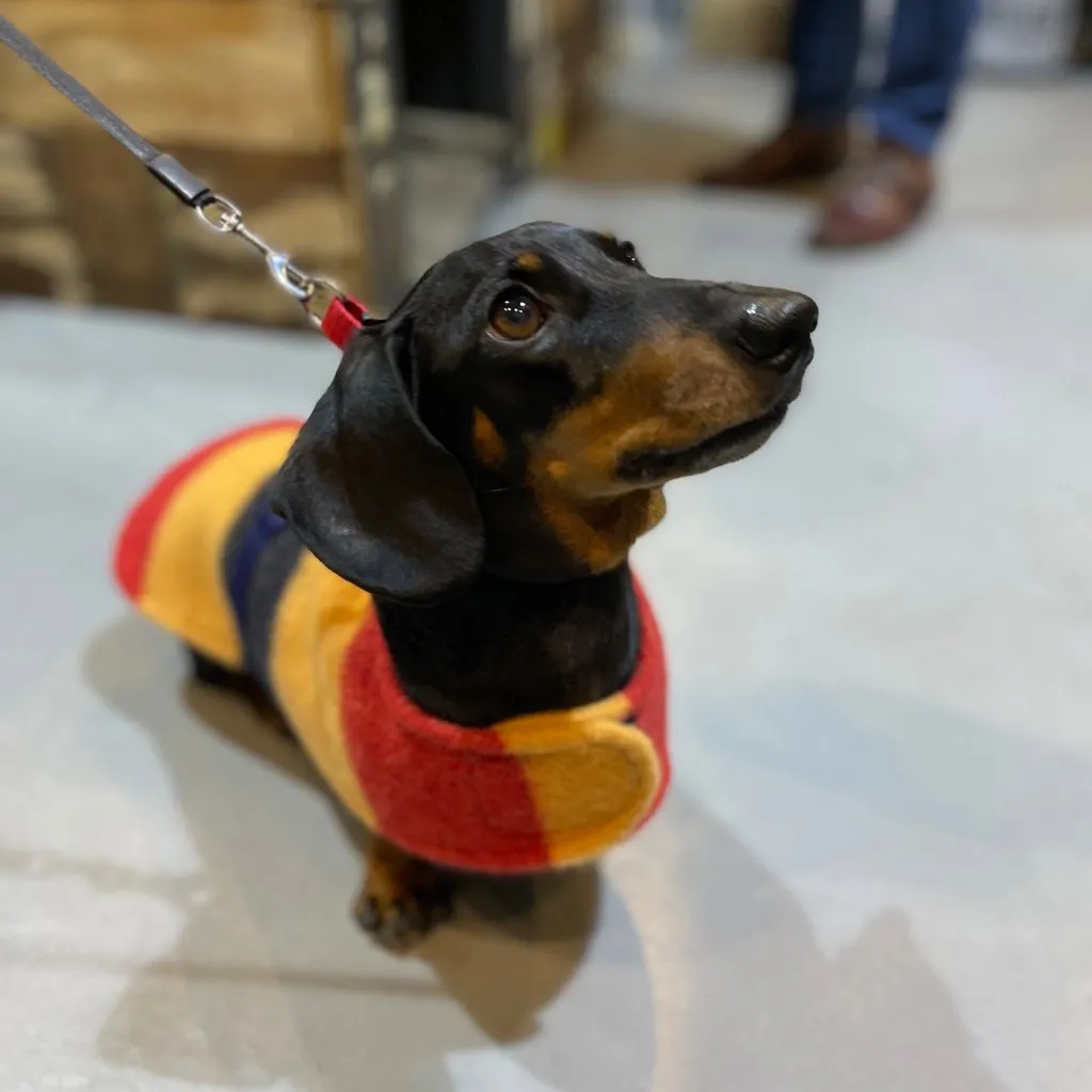 Witney Dachshund Rug Coat